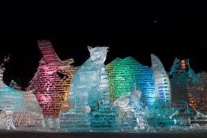 Ice Animals Sapporo