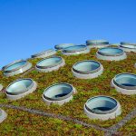 Living Roof