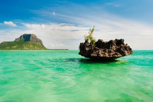 Mauritius Lagoon