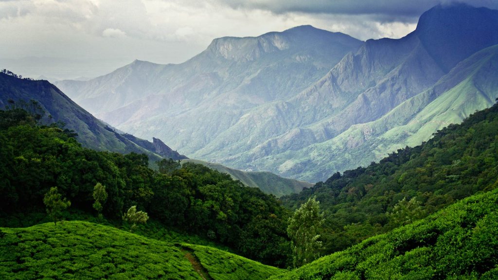 Munnar India