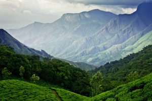 Munnar India