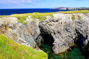 Nfld Caves