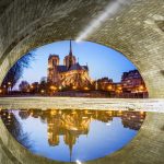 Notre Dame Puddle