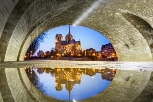 Notre Dame Puddle