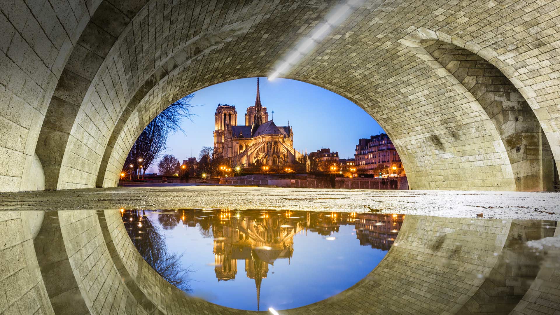 Notre Dame Puddle