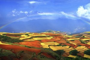 Rainbow Over Area