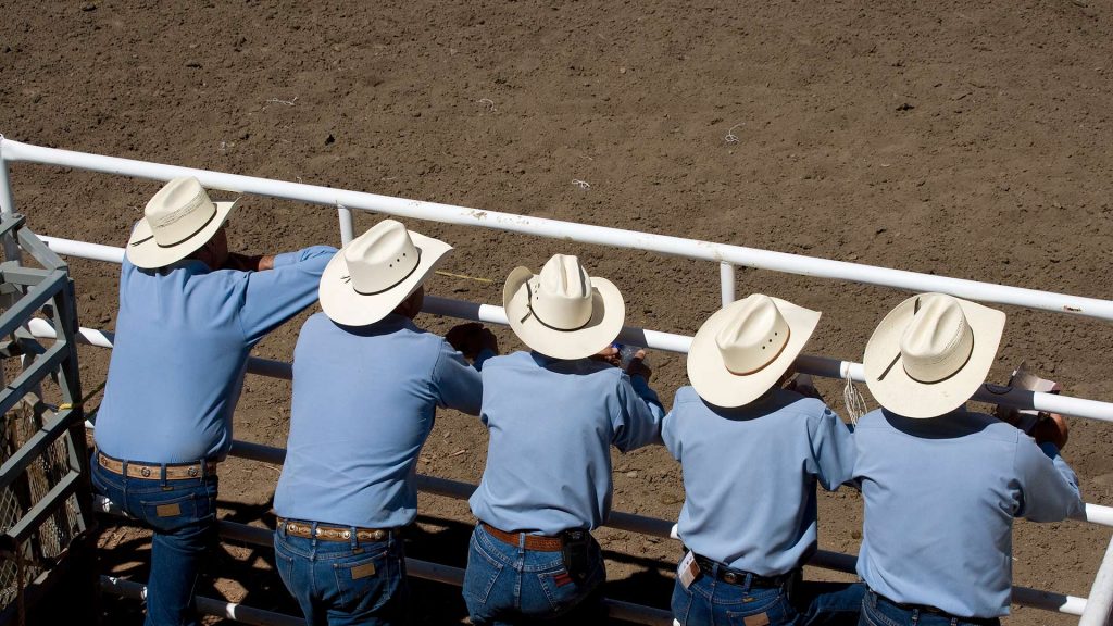 Stampede Spectators