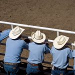 Stampede Spectators