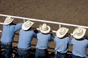 Stampede Spectators