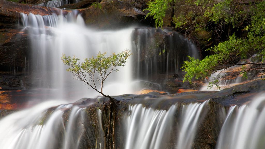 Wentworth Falls