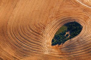 Farmland Landscape