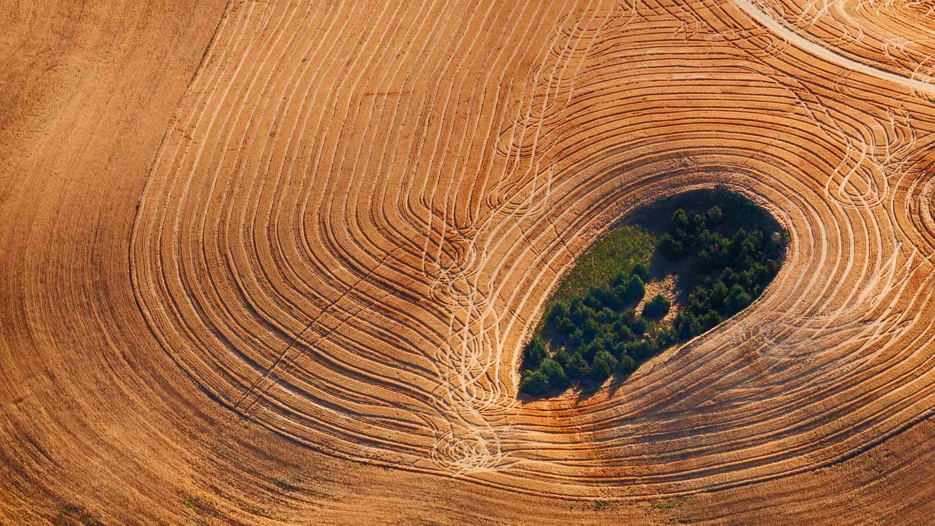 Farmland Landscape