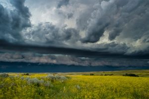 TRNP Thunderstorm
