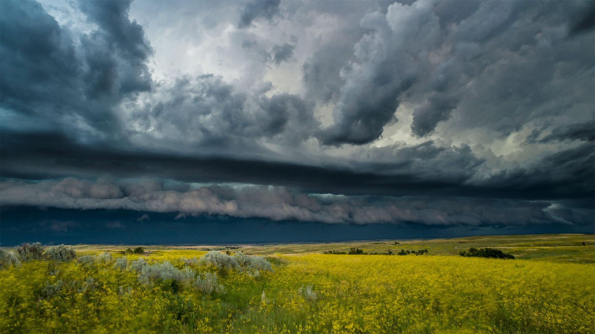 TRNP Thunderstorm