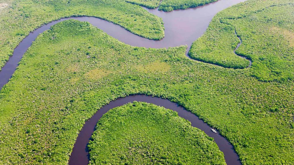 Daintree River