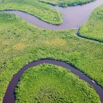 Daintree River