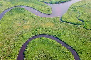 Daintree River