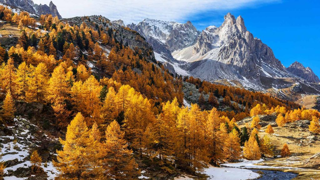 Fall Winter – Bing Wallpaper Download
