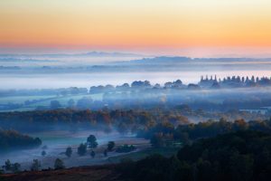 Misty Ashdown