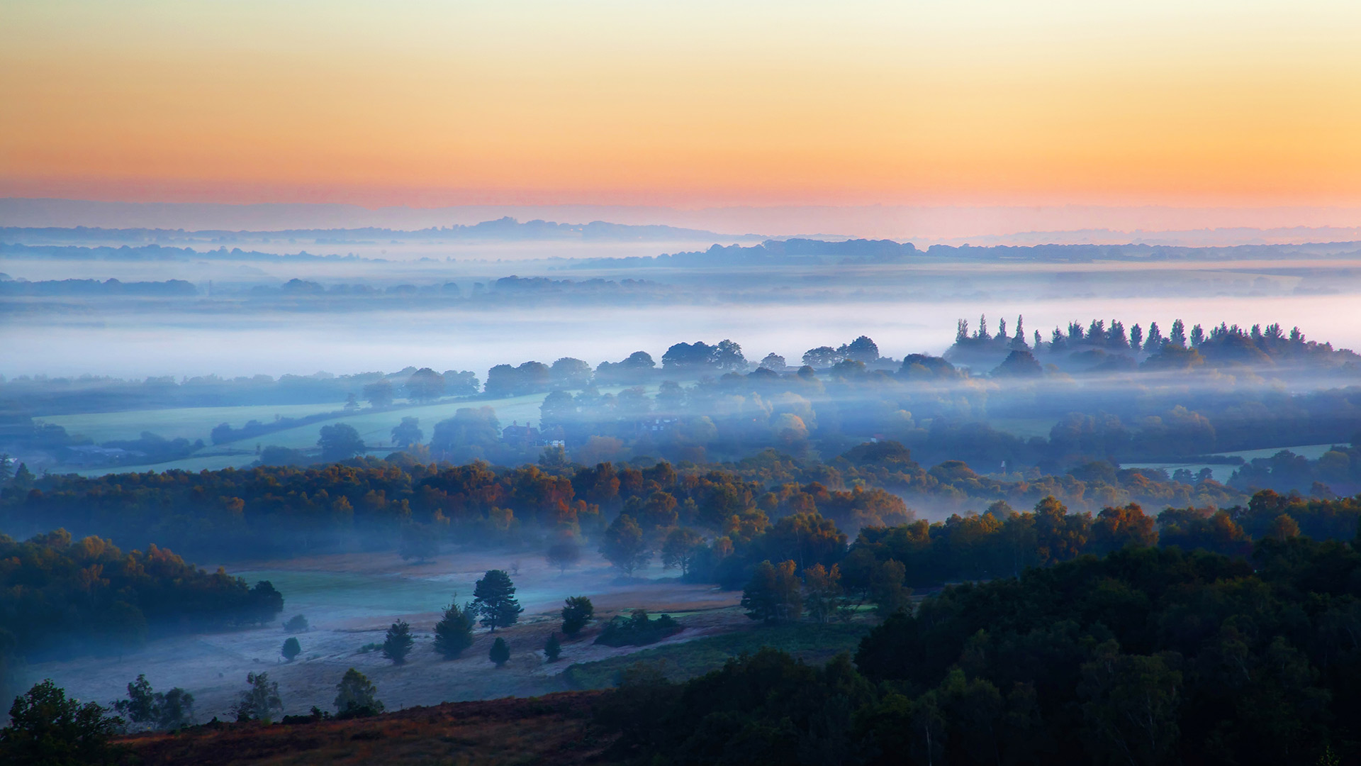 Misty Ashdown