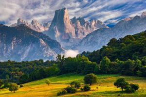 Naranjo Bulnes