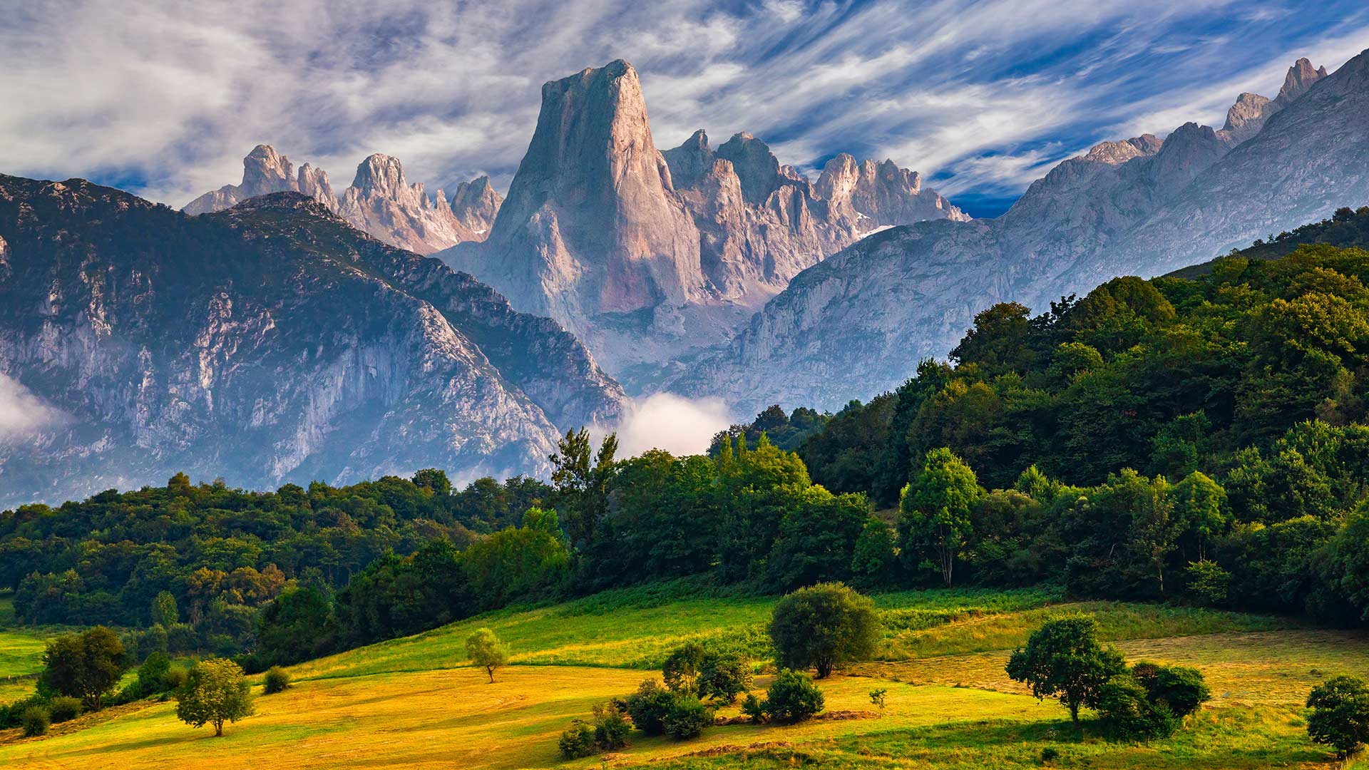 Naranjo Bulnes