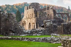 Tintern Abbey