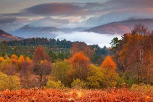 Trossachs Autumn