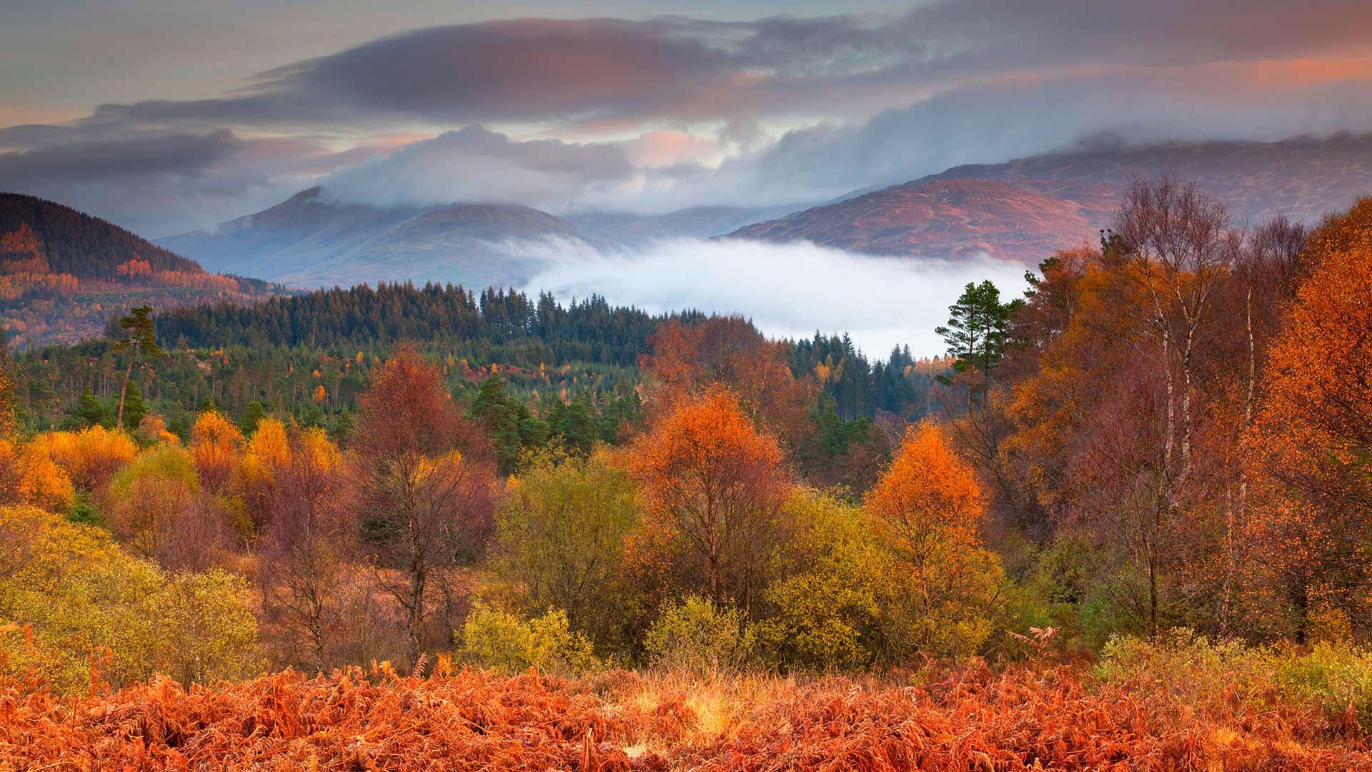 Trossachs Autumn