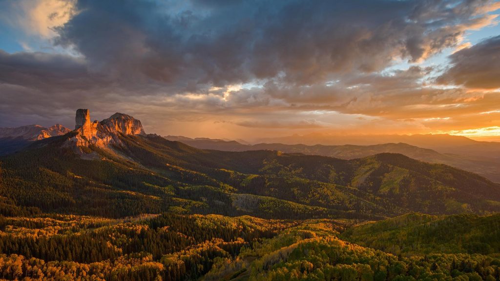 Uncompahgre Forest