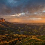 Uncompahgre Forest