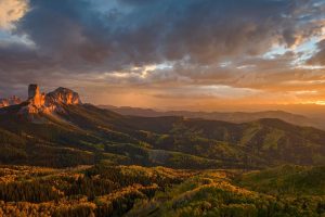 Uncompahgre Forest