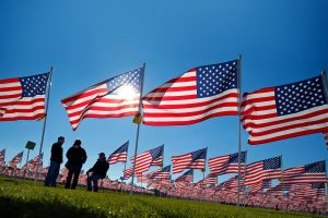 Aurora Healing Fields