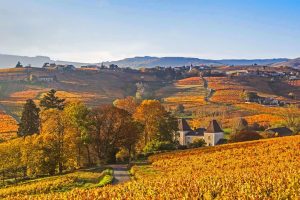 Beaujolais Region