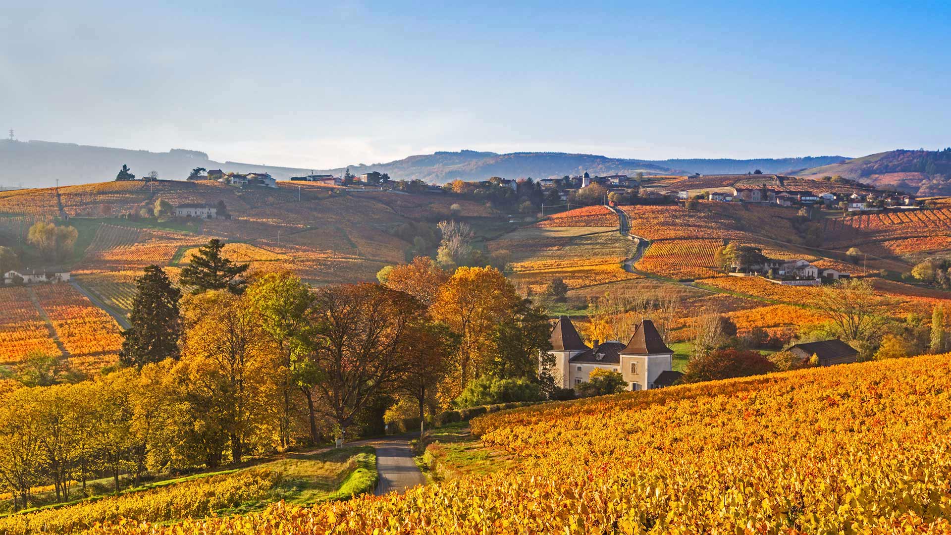 Beaujolais Region