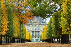 Louvre Autumn