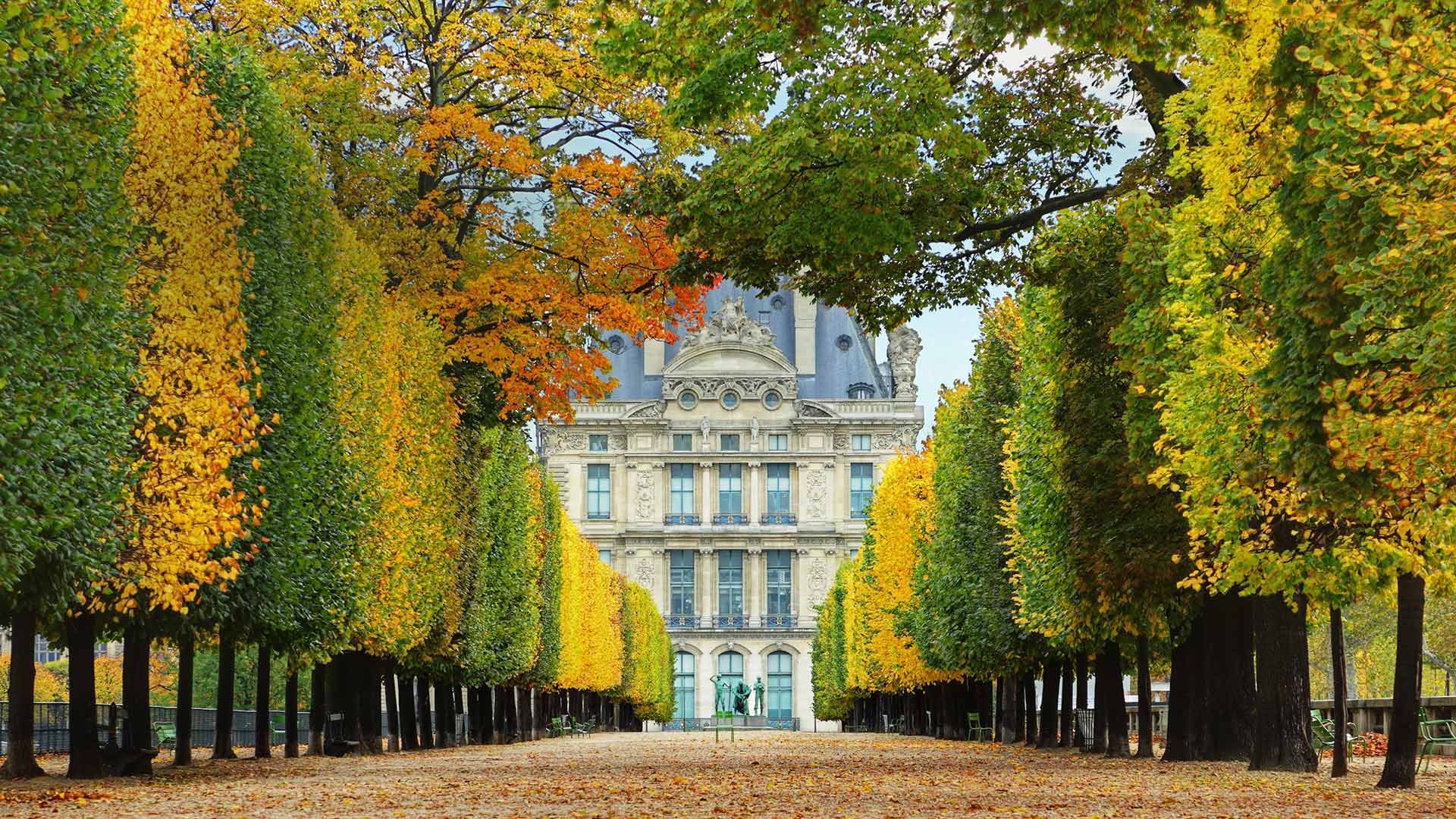 Louvre Autumn