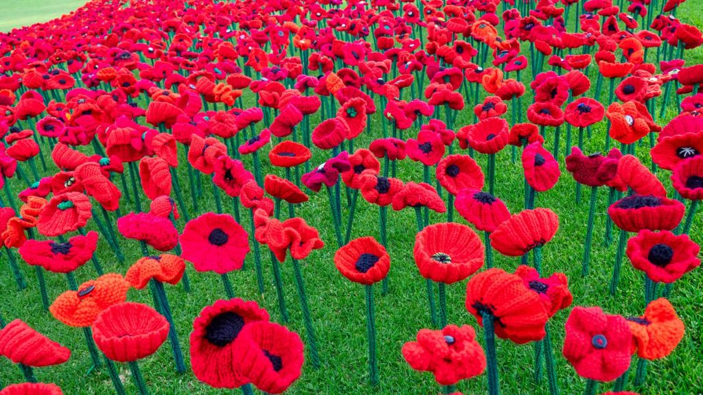 Poppy Project – Bing Wallpaper Download