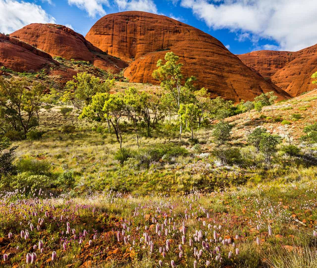 Природа австралии климат. Улуру Катаюта. Национальный парк Улуру-ката-Тьюта. Улуру Австралия 1920 *1080. Улуру Австралия 1080.