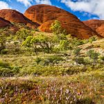 Spring Uluru