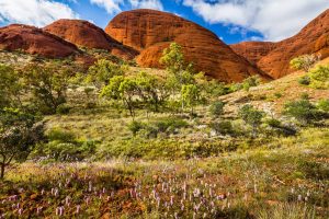 Spring Uluru