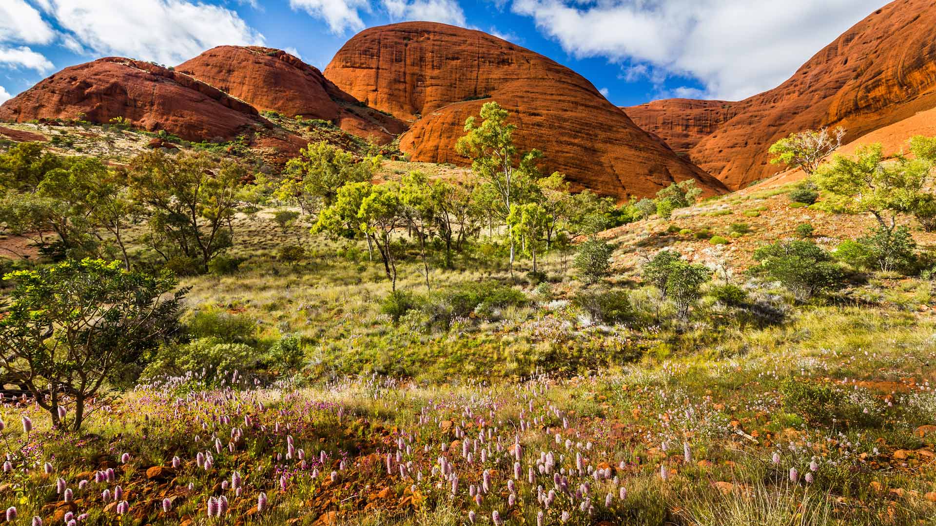 Spring Uluru