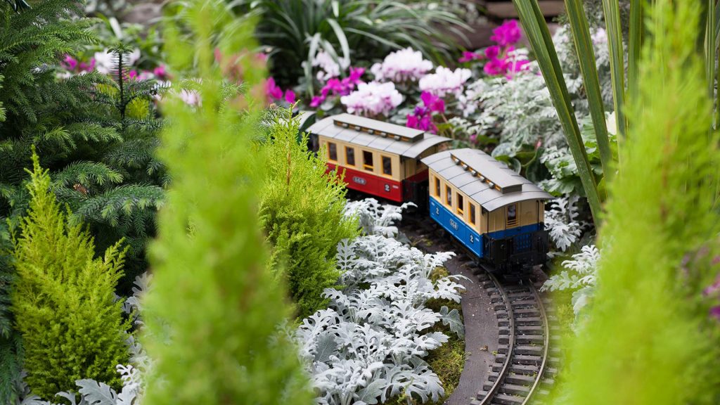 Garden Train