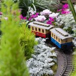 Garden Train