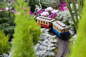 Garden Train