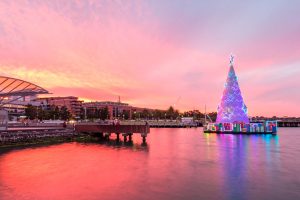 Geelong Christmas