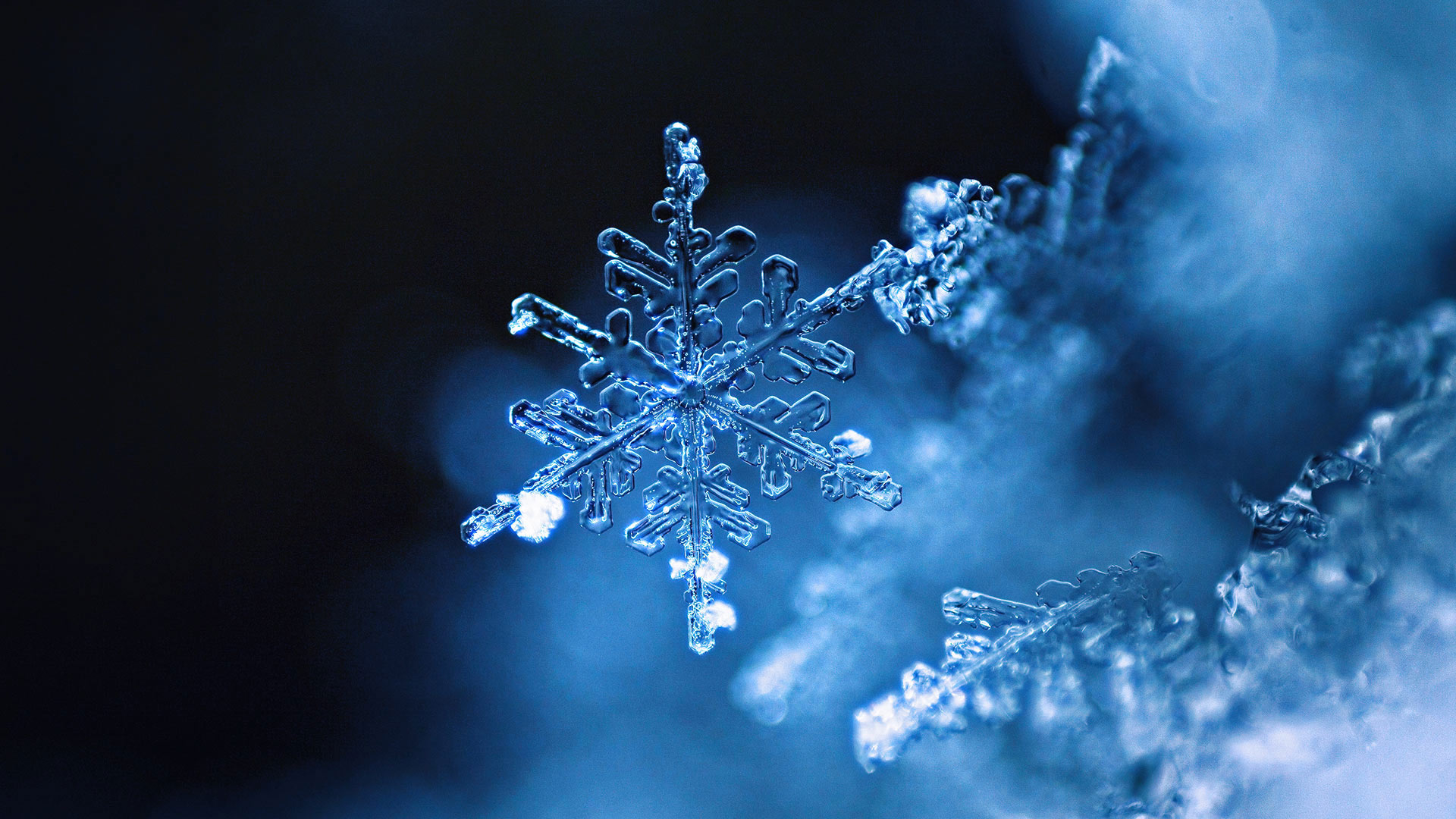 Real Snowflake – Bing Wallpaper Download