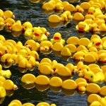 Rubber Ducks