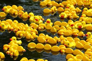 Rubber Ducks