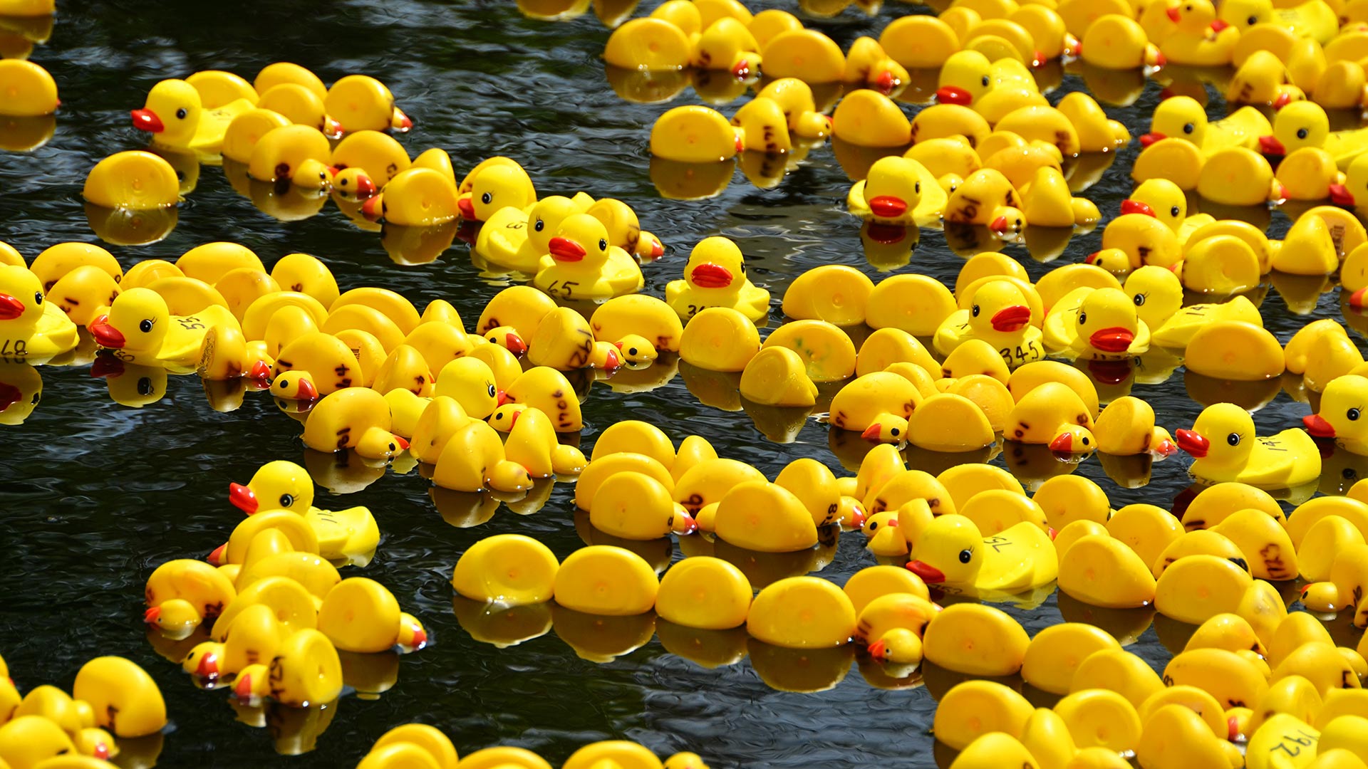 Rubber Ducks